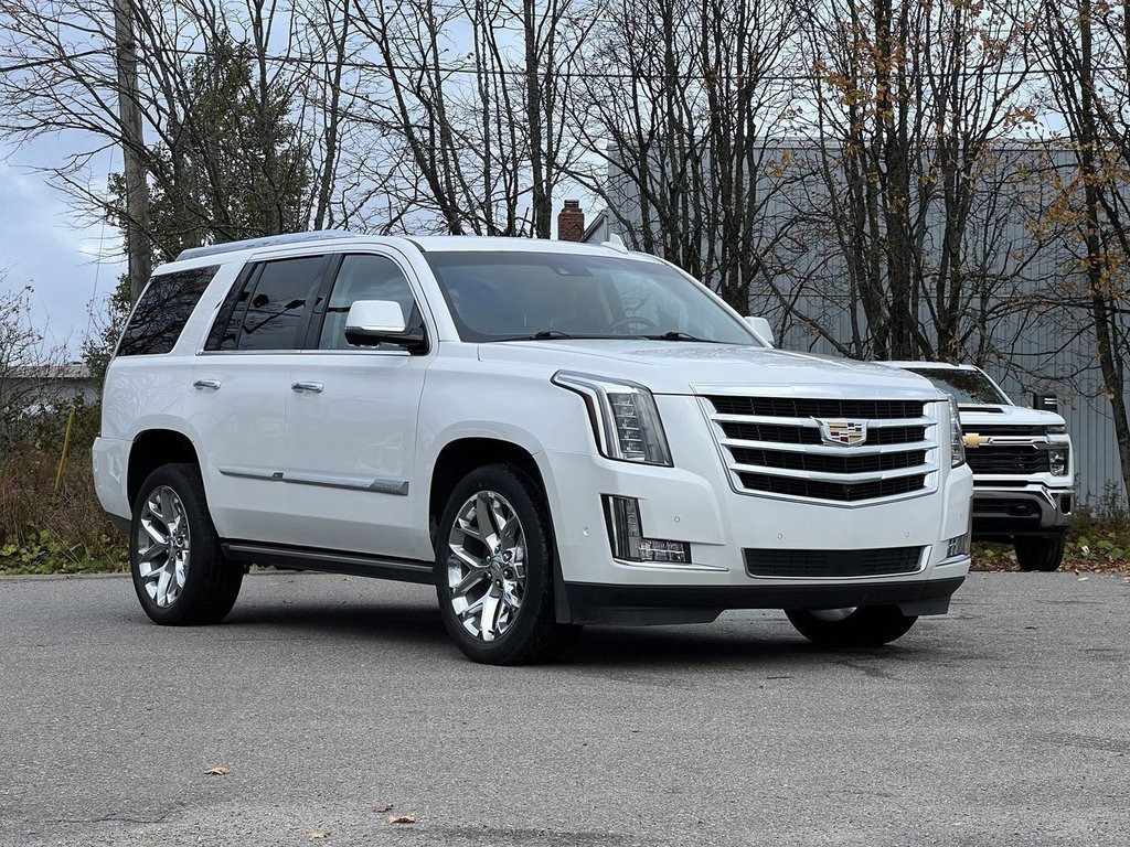2020 Cadillac Escalade Premium Luxury in Saint John, New Brunswick - 3 - w1024h768px
