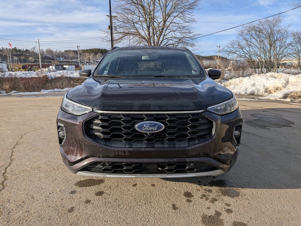 2023 Ford Escape ST-Line Elite in Saint John, New Brunswick - 2 - w1024h768px