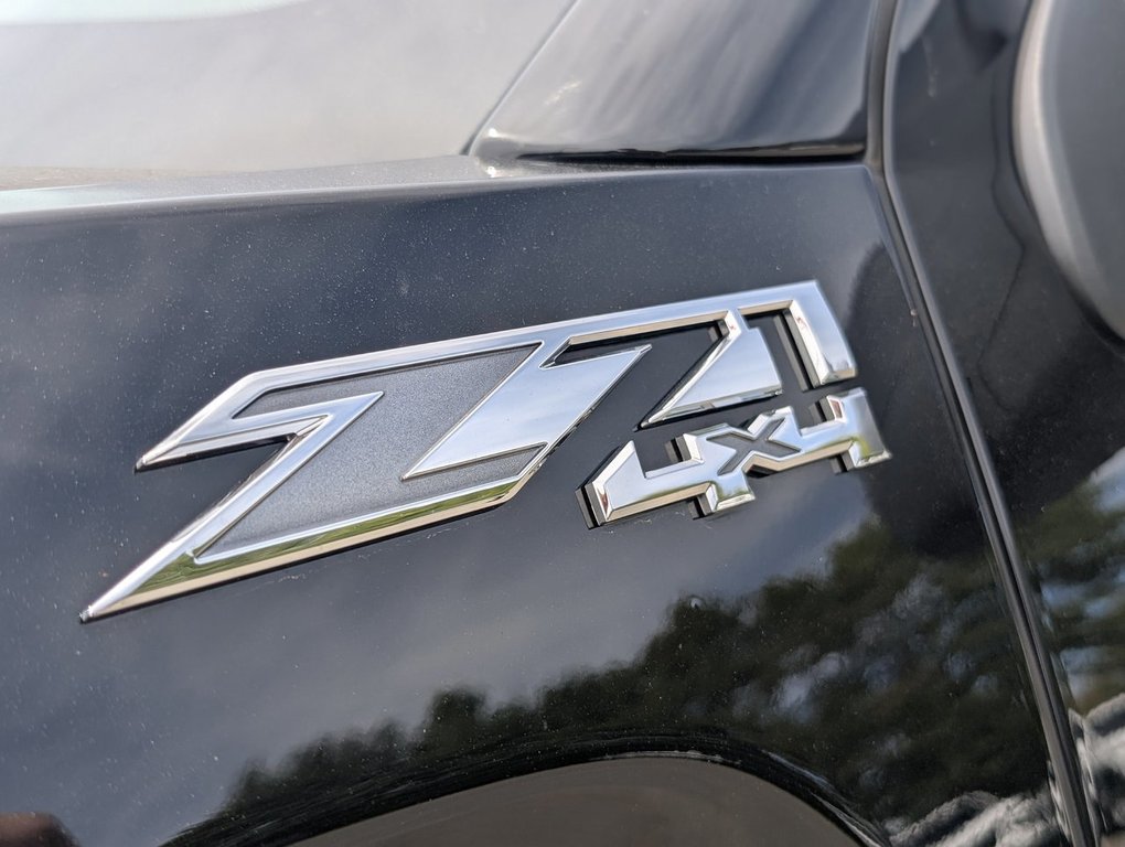 2019 GMC SIERRA 1500 LIMITED in Saint John, New Brunswick - 11 - w1024h768px