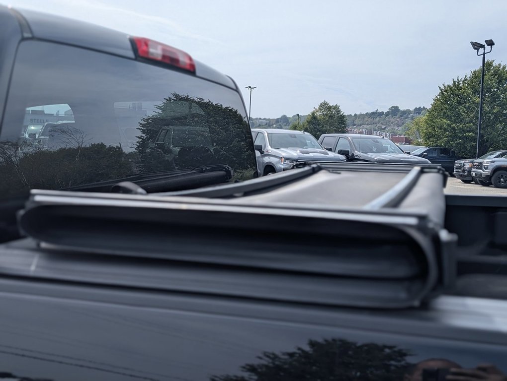 2019 GMC SIERRA 1500 LIMITED in Saint John, New Brunswick - 9 - w1024h768px