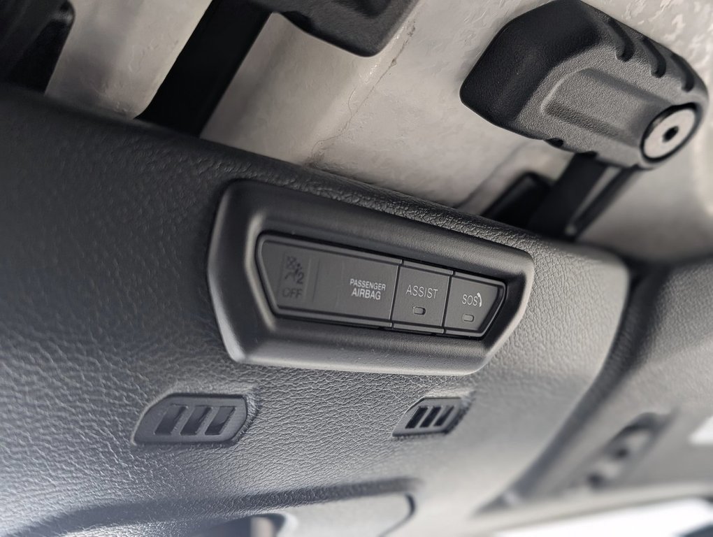 2019 Jeep Wrangler Unlimited in Saint John, New Brunswick - 13 - w1024h768px