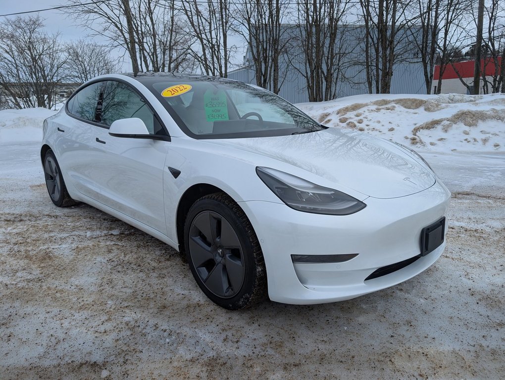 2022 Tesla MODEL 3 Long Range in Saint John, New Brunswick - 3 - w1024h768px