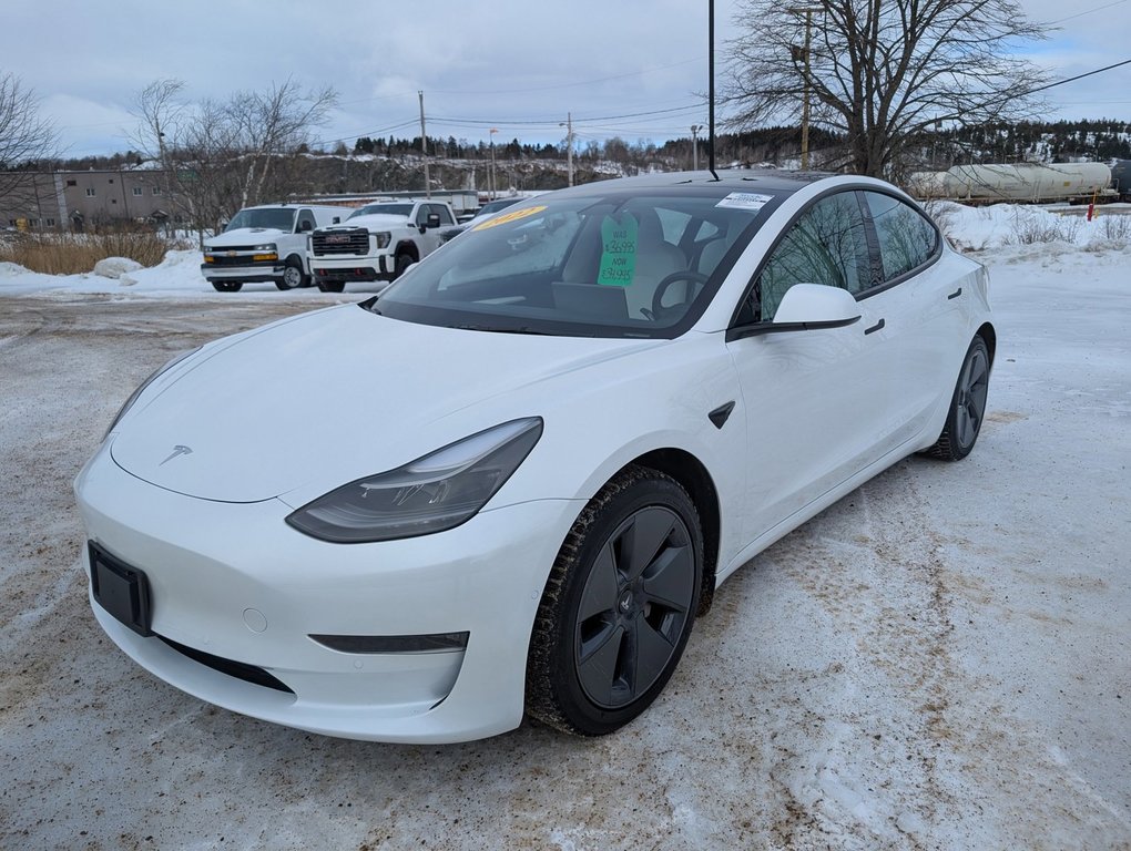 2022 Tesla MODEL 3 Long Range in Saint John, New Brunswick - 1 - w1024h768px