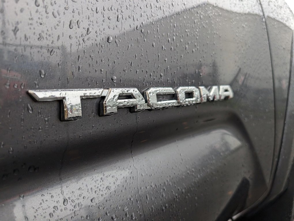 2019  Tacoma SR5 in Saint John, New Brunswick - 7 - w1024h768px