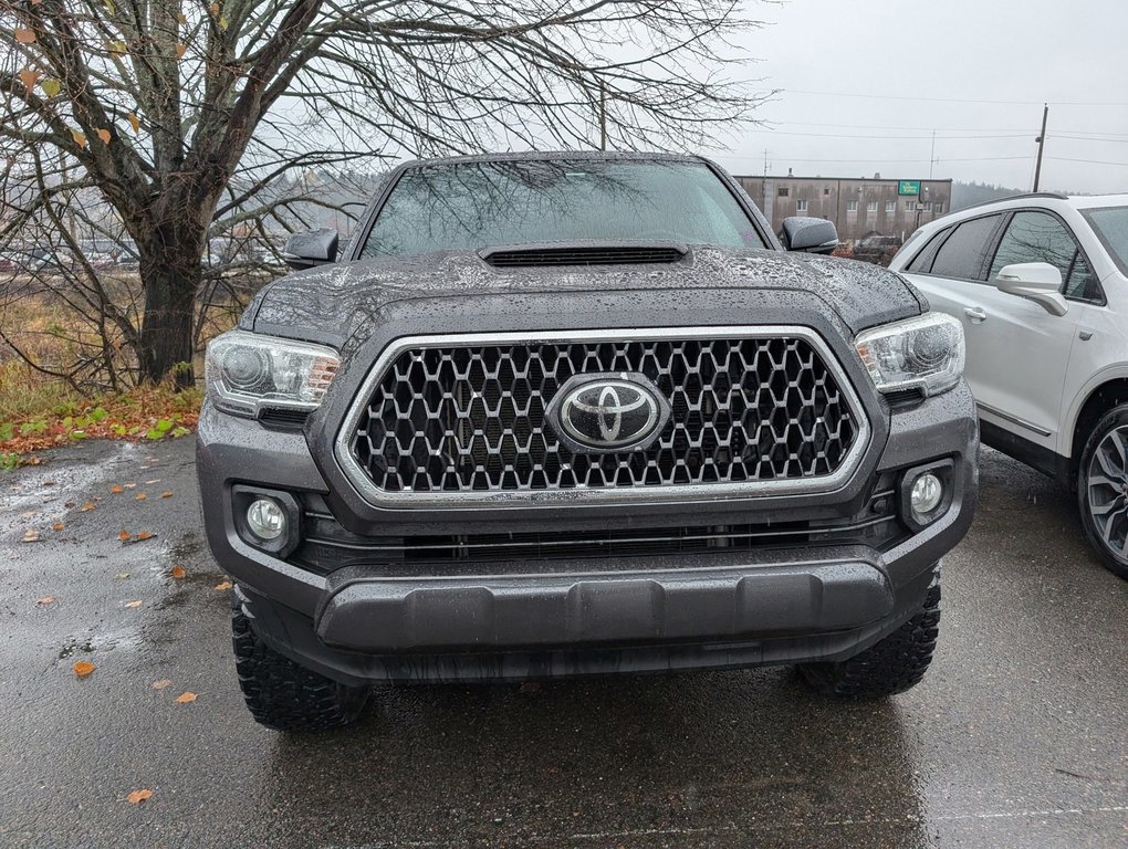 2019  Tacoma SR5 in Saint John, New Brunswick - 2 - w1024h768px