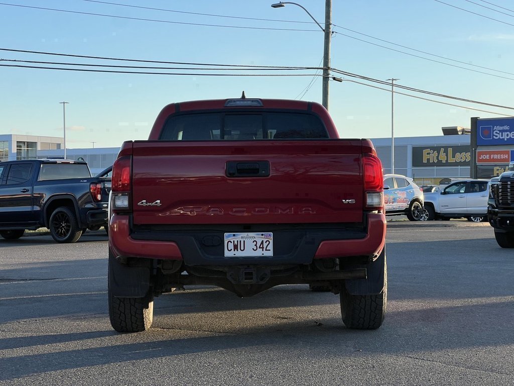 2019 Toyota Tacoma SR5 in Saint John, New Brunswick - 6 - w1024h768px