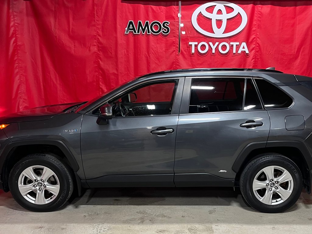 RAV4 Hybrid LE 2019 à Amos, Québec - 6 - w1024h768px