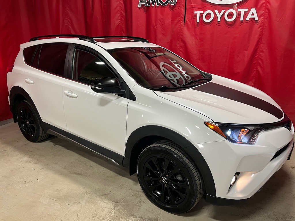 RAV4  2018 à Amos, Québec - 2 - w1024h768px