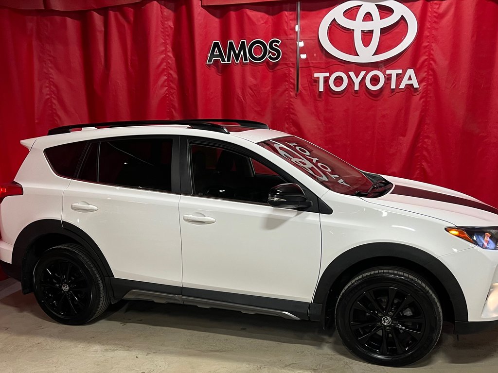 RAV4  2018 à Amos, Québec - 6 - w1024h768px