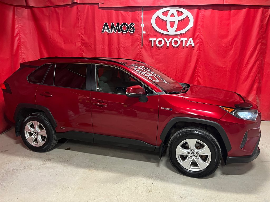 2019  RAV4 Hybrid LE in Amos, Quebec - 3 - w1024h768px