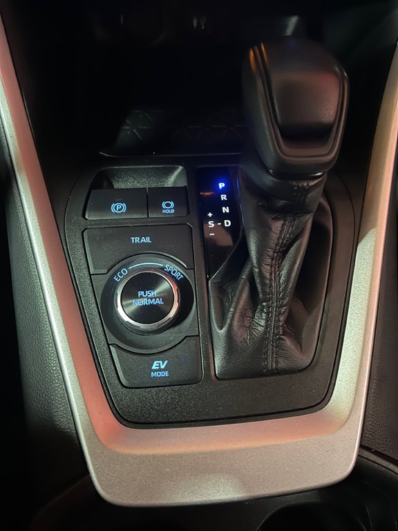 2019  RAV4 Hybrid LE in Amos, Quebec - 20 - w1024h768px