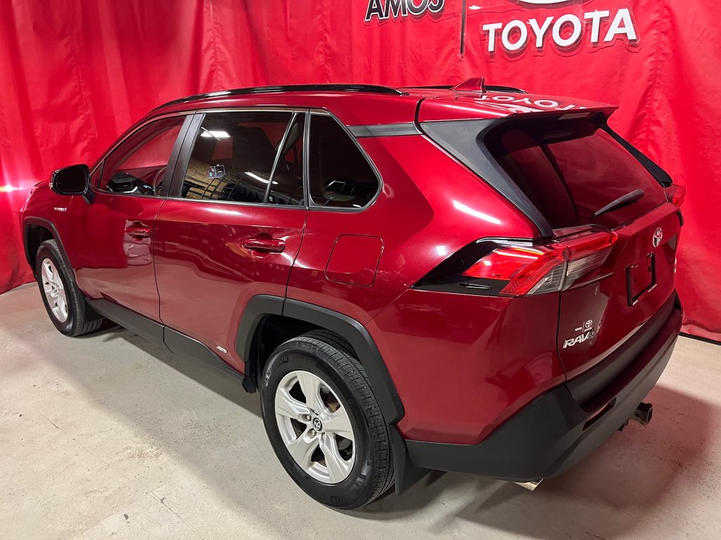 2019  RAV4 Hybrid LE in Amos, Quebec - 5 - w1024h768px