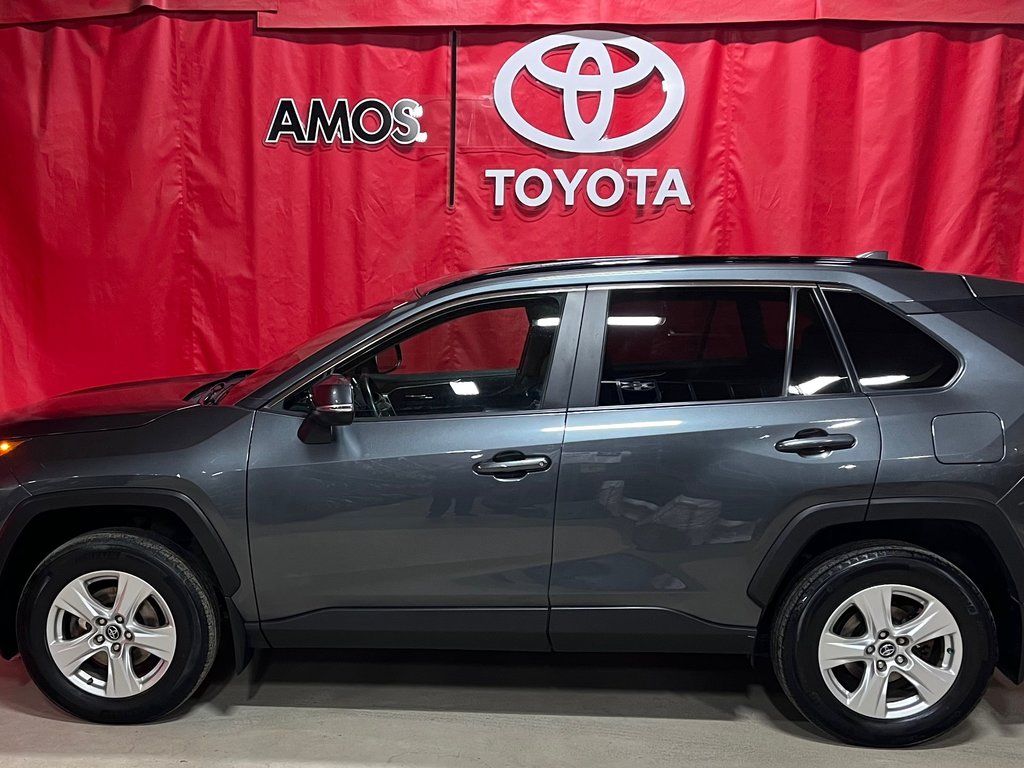 2019  RAV4 XLE in Amos, Quebec - 9 - w1024h768px