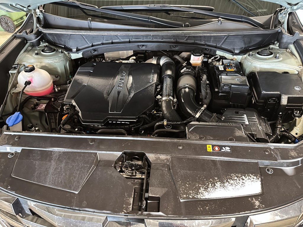 2024 Hyundai Santa Cruz Trend AWD Toit-Ouvrant-6
