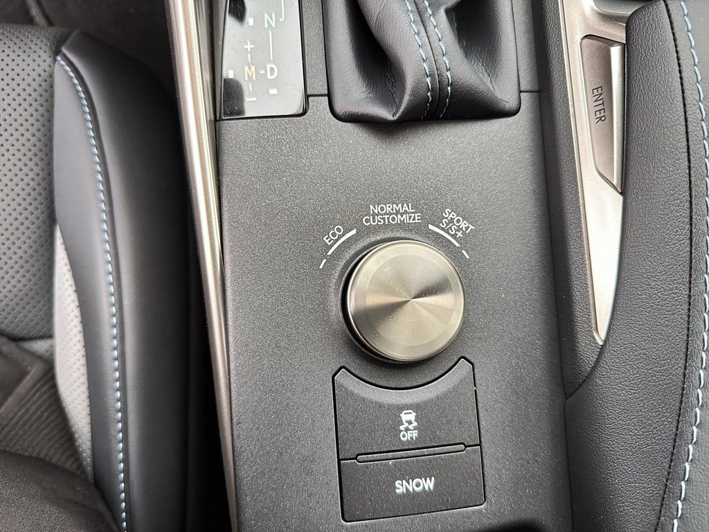 2020 Lexus IS 350 in St-Jean-Sur-Richelieu, Quebec - 16 - w1024h768px
