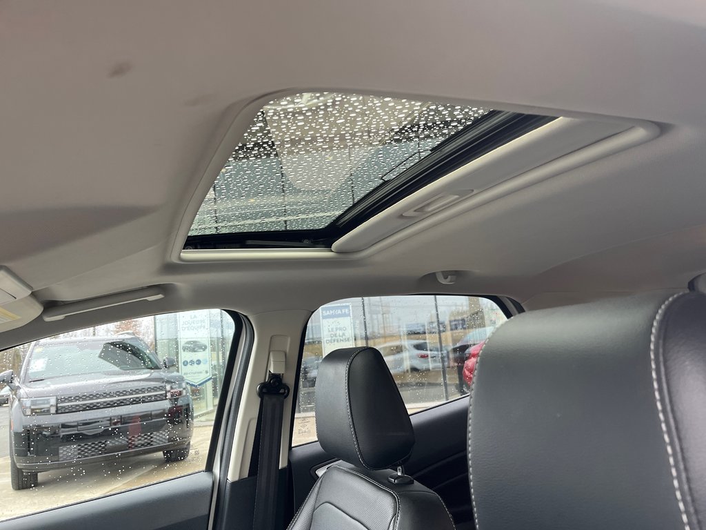 Ford EcoSport Titanium 2019 à Bathurst, Nouveau-Brunswick - 12 - w1024h768px