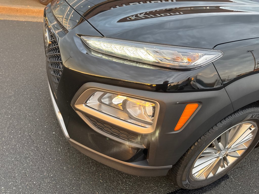 2019  Kona Preferred in Bathurst, New Brunswick - 12 - w1024h768px