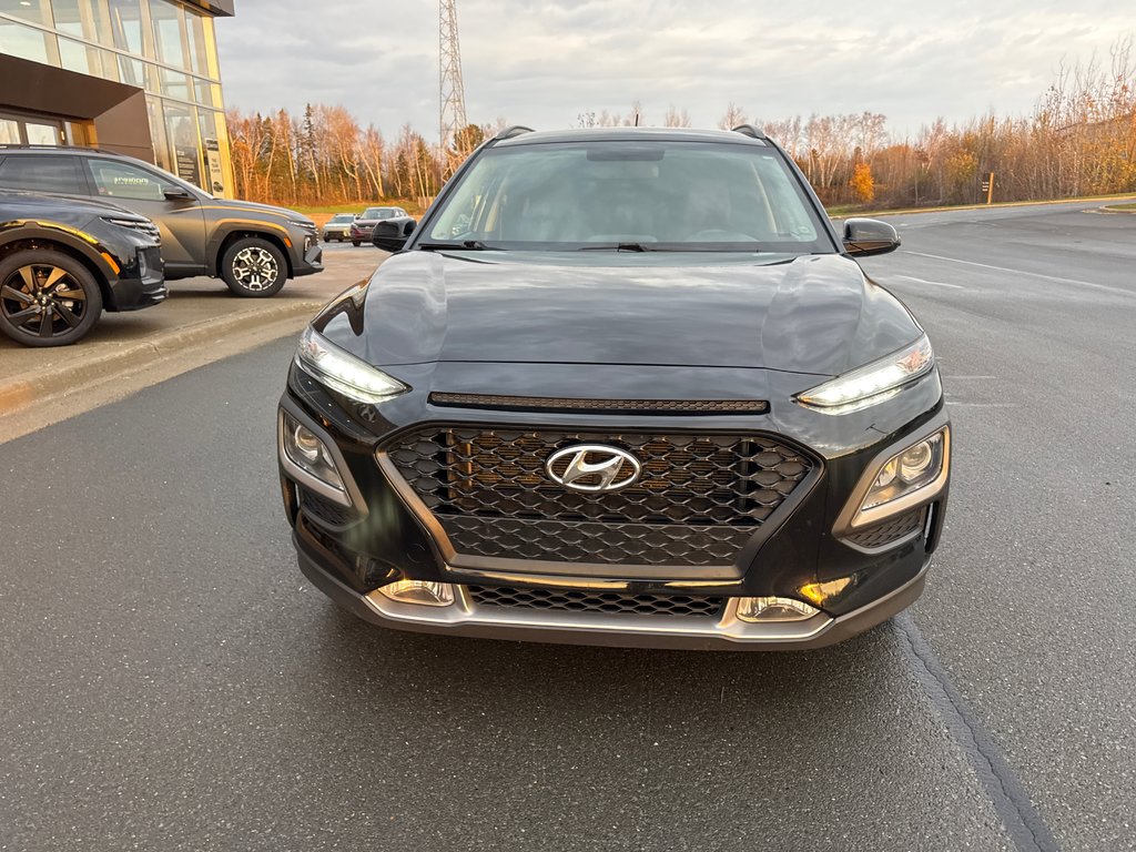 2019  Kona Preferred in Bathurst, New Brunswick - 3 - w1024h768px