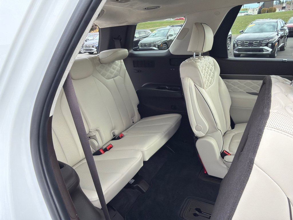 2021 Hyundai Palisade Ultimate Calligraphy in Bathurst, New Brunswick - 14 - w1024h768px