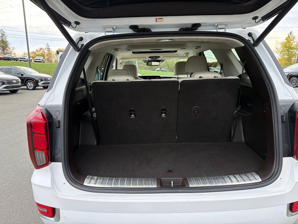 2021 Hyundai Palisade Ultimate Calligraphy in Bathurst, New Brunswick - 13 - w1024h768px