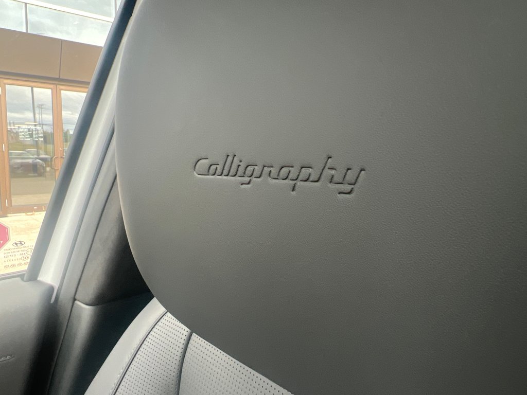 2026 Hyundai Palisade Ultimate Calligraphy AWD in Bathurst, New Brunswick - 16 - w1024h768px