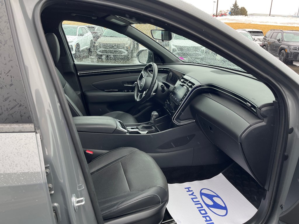 2022 Hyundai Santa Cruz Preferred in Bathurst, New Brunswick - 12 - w1024h768px