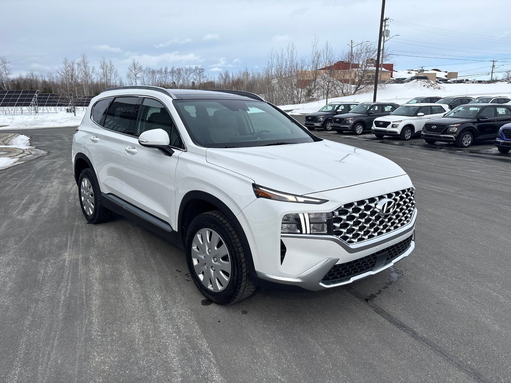 Hyundai Santa Fe Preferred 2023 à Bathurst, Nouveau-Brunswick - 3 - w1024h768px