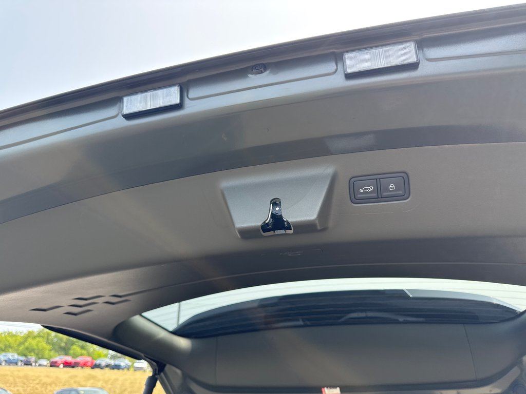 2025 Hyundai Santa Fe Ultimate Calligraphy in Bathurst, New Brunswick - 29 - w1024h768px