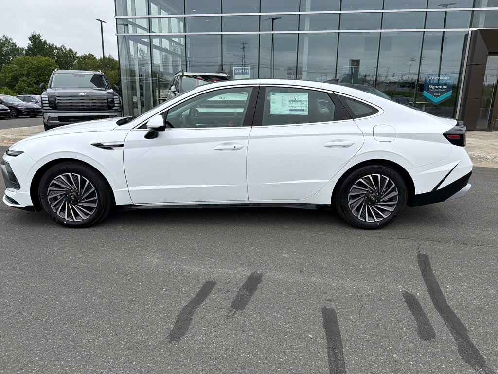 Hyundai Sonata Hybrid Preferred-Trend FWD 2026 à Bathurst, Nouveau-Brunswick - 9 - w1024h768px