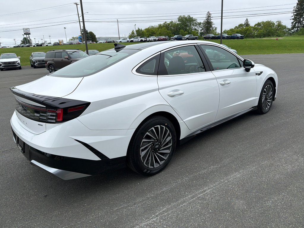 Hyundai Sonata Hybrid Preferred-Trend FWD 2026 à Bathurst, Nouveau-Brunswick - 6 - w1024h768px