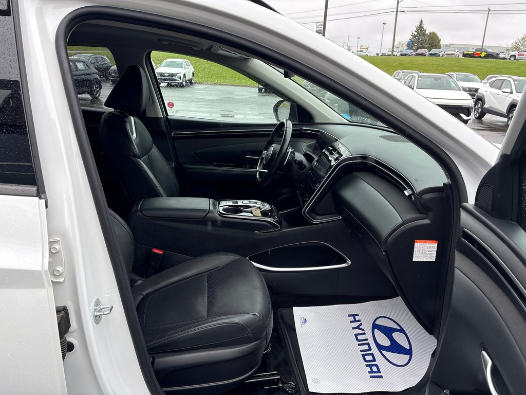 Hyundai Tucson Hybrid Luxury 2022 à Bathurst, Nouveau-Brunswick - 12 - w1024h768px