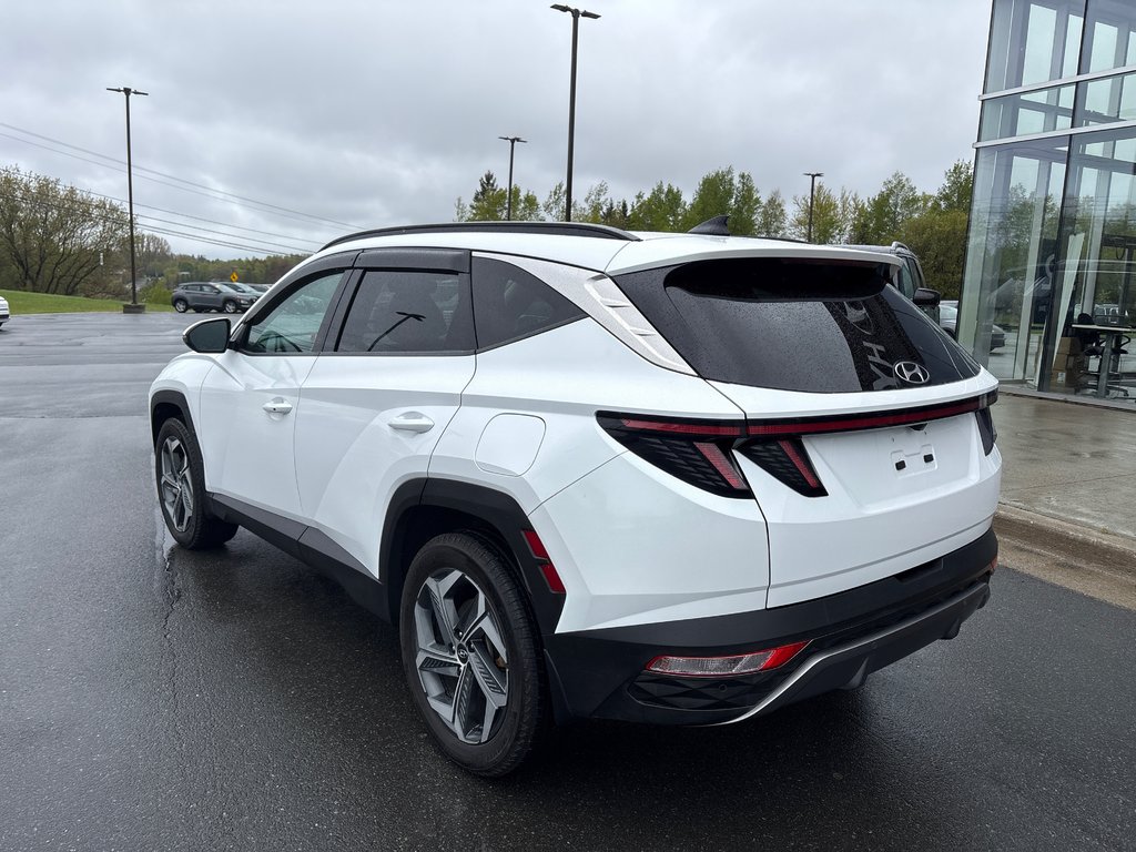 Hyundai Tucson Hybrid Luxury 2022 à Bathurst, Nouveau-Brunswick - 7 - w1024h768px