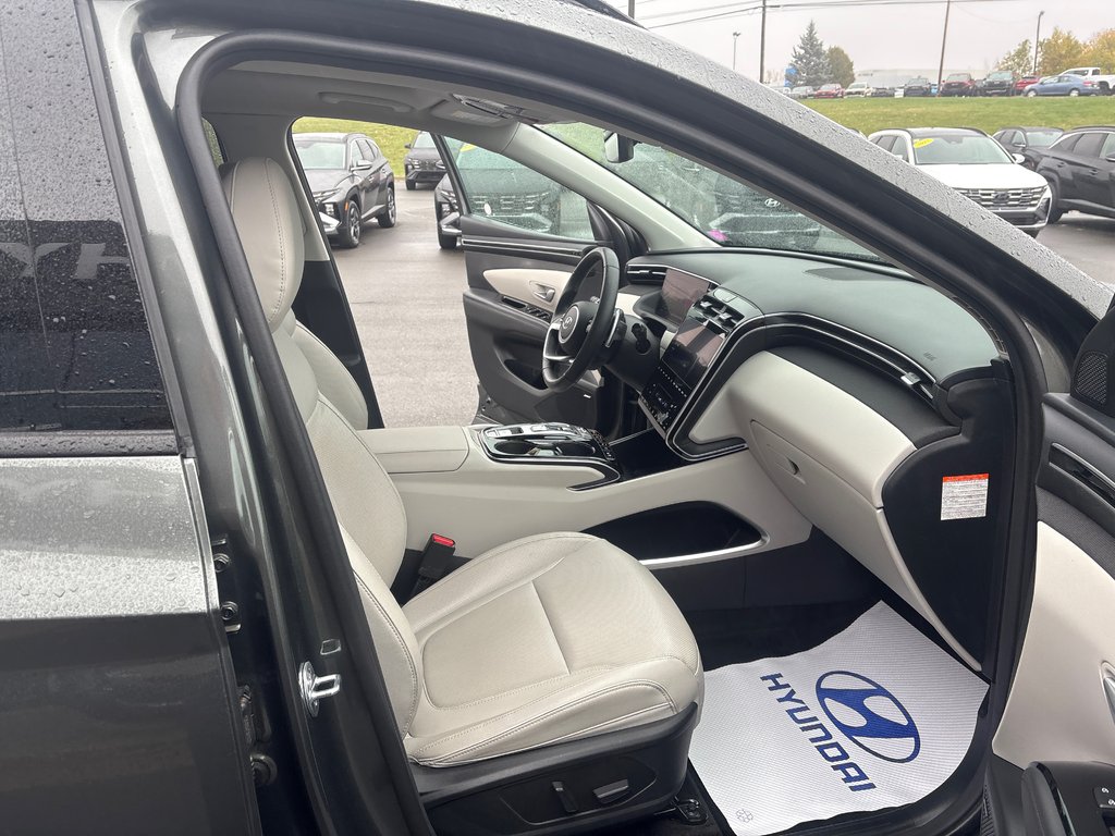 2023 Hyundai Tucson Hybrid Ultimate in Bathurst, New Brunswick - 8 - w1024h768px