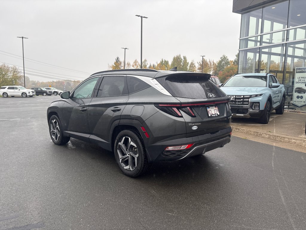 2023 Hyundai Tucson Hybrid Ultimate in Bathurst, New Brunswick - 5 - w1024h768px