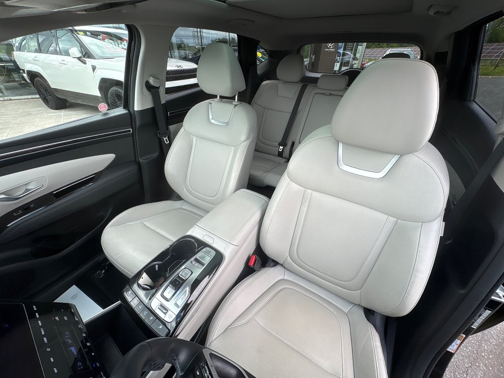 2023 Hyundai Tucson Hybrid Luxury in Bathurst, New Brunswick - 10 - w1024h768px