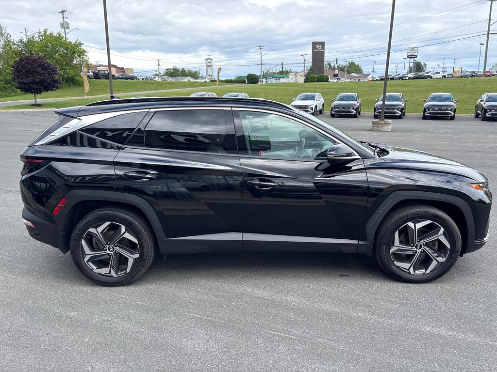 2023 Hyundai Tucson Hybrid Luxury in Bathurst, New Brunswick - 4 - w1024h768px