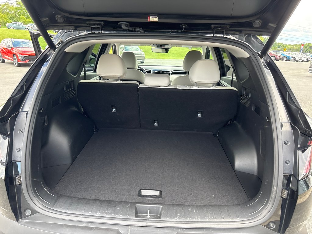 2023 Hyundai Tucson Hybrid Luxury in Bathurst, New Brunswick - 9 - w1024h768px