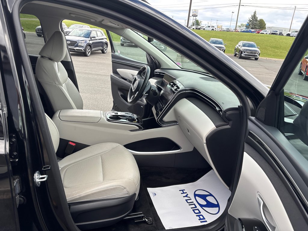 2023 Hyundai Tucson Hybrid Luxury in Bathurst, New Brunswick - 8 - w1024h768px