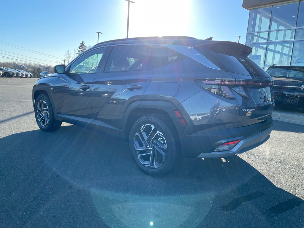 Hyundai Tucson Hybrid Ultimate AWD 2025 à Bathurst, Nouveau-Brunswick - 7 - w1024h768px