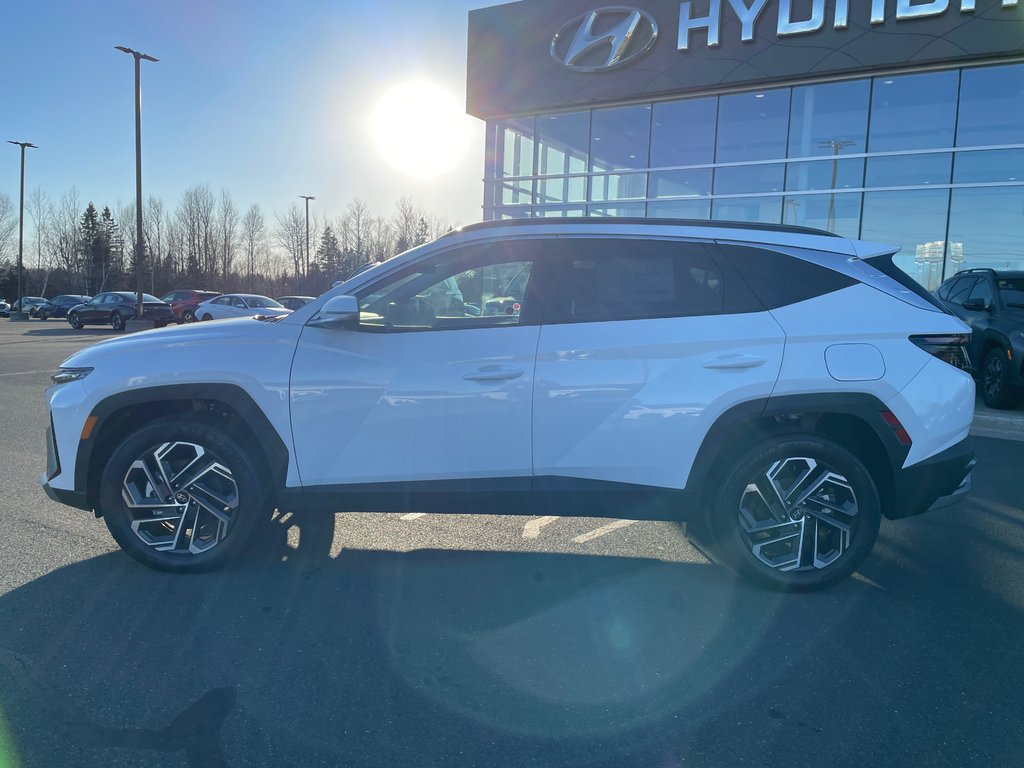 2025 Hyundai Tucson Hybrid Ultimate AWD in Bathurst, New Brunswick - 5 - w1024h768px