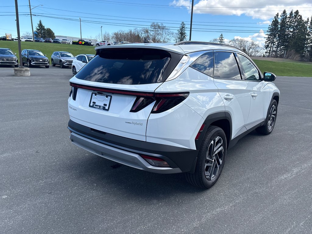 2026 Hyundai Tucson Hybrid Ultimate AWD in Bathurst, New Brunswick - 5 - w1024h768px