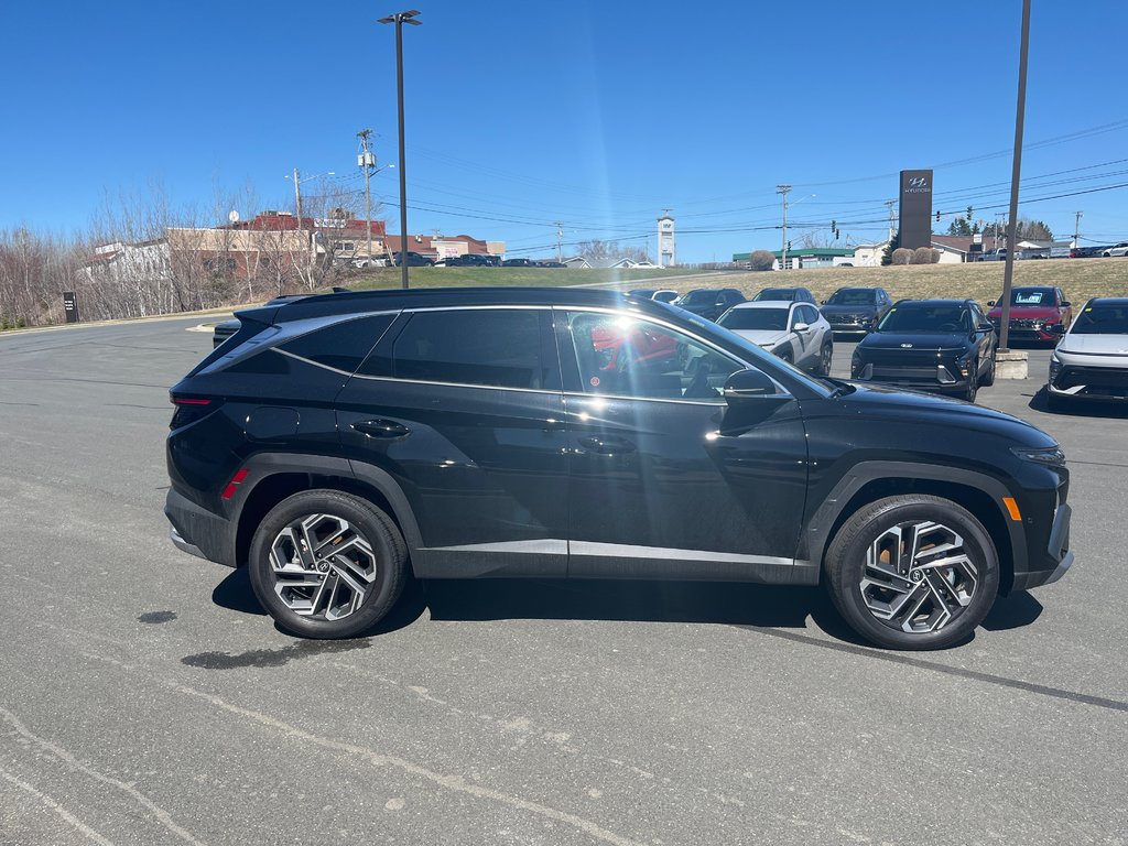 Hyundai Tucson Plug-In Hybrid Ultimate AWD 2025 à Bathurst, Nouveau-Brunswick - 5 - w1024h768px