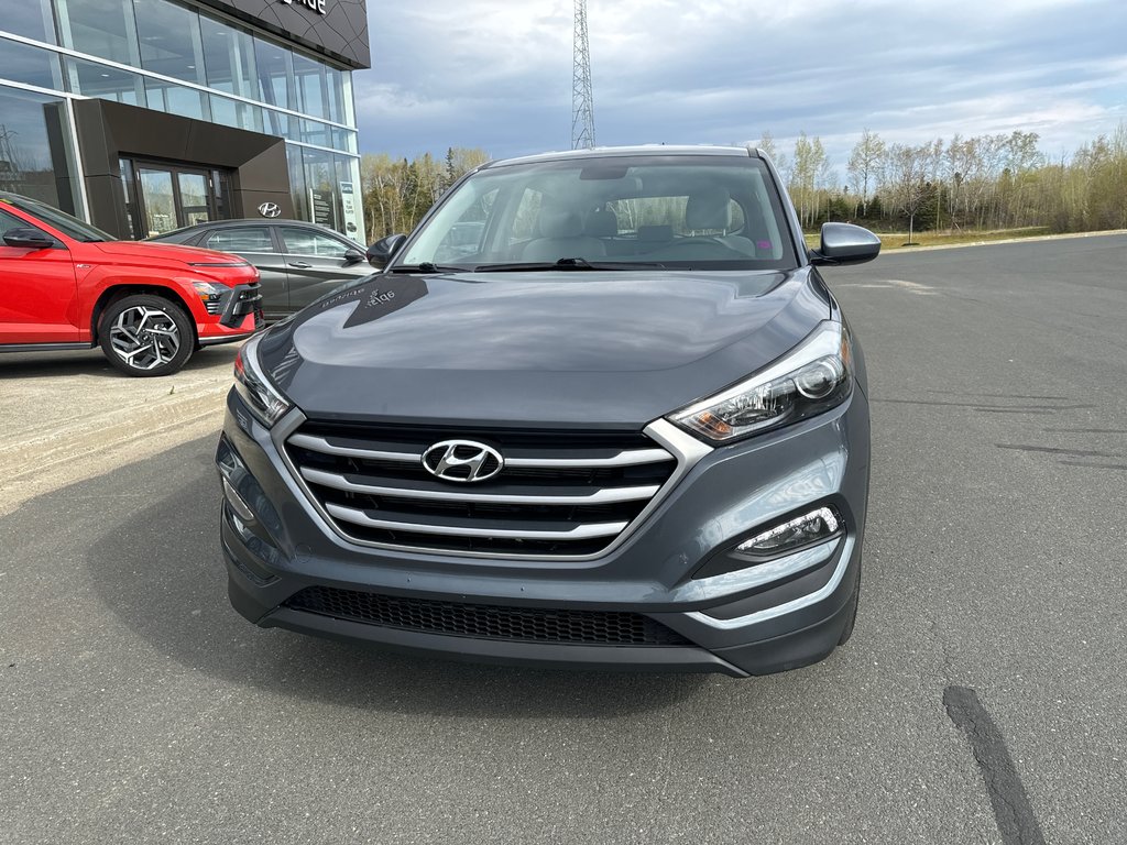 2017  Tucson Ess in Bathurst, New Brunswick - 2 - w1024h768px