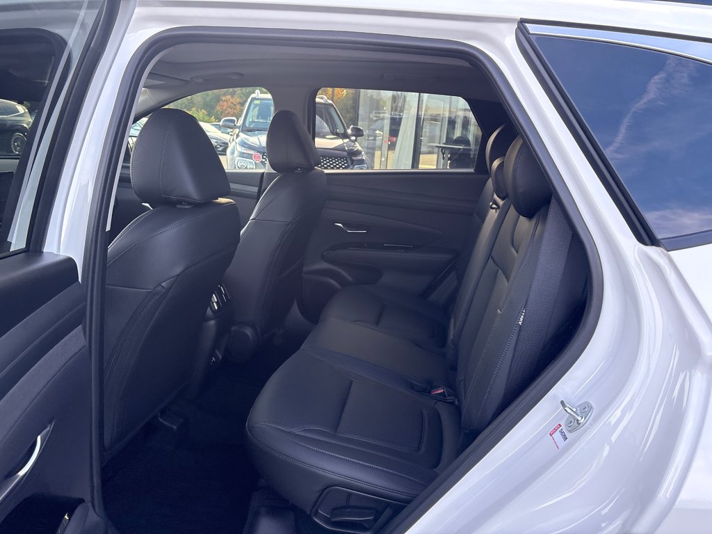 2025 Hyundai Tucson Preferred AWD w/Trend Pkg in Bathurst, New Brunswick - 8 - w1024h768px