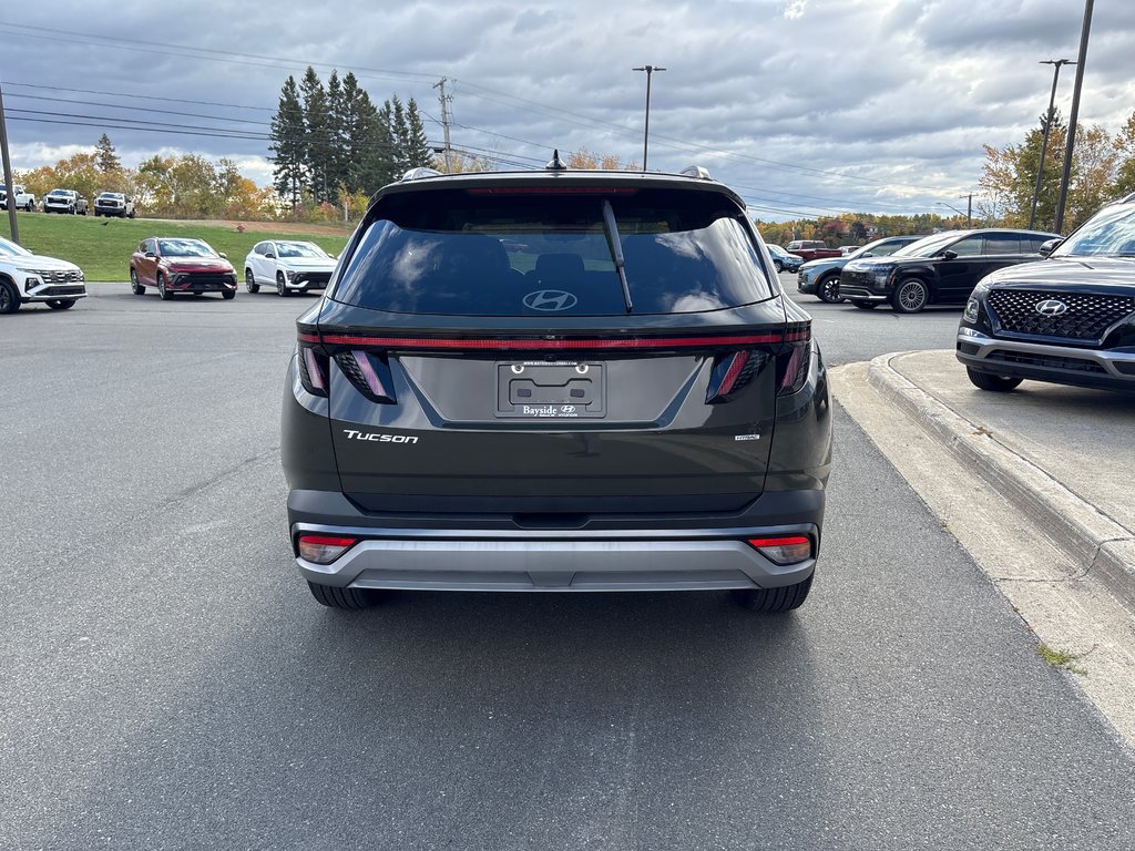 2025 Hyundai Tucson Preferred AWD w/Trend Pkg in Bathurst, New Brunswick - 4 - w1024h768px