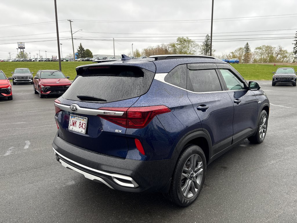 Kia Seltos EX 2021 à Bathurst, Nouveau-Brunswick - 17 - w1024h768px
