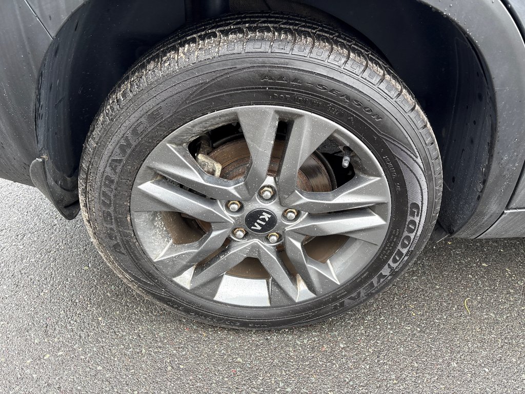 Kia Seltos EX 2021 à Bathurst, Nouveau-Brunswick - 13 - w1024h768px