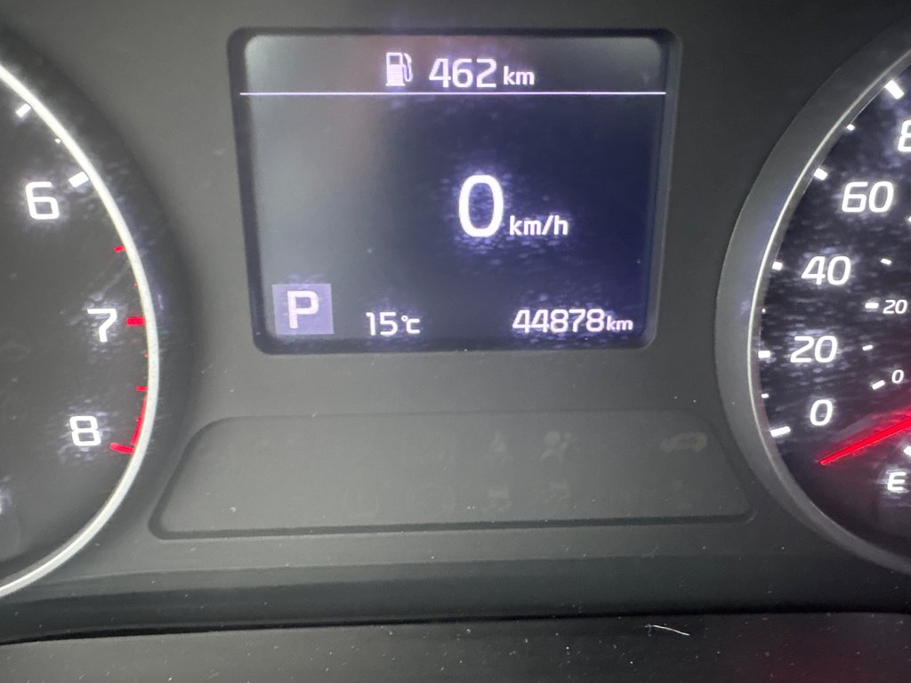 Kia Seltos EX 2021 à Bathurst, Nouveau-Brunswick - 18 - w1024h768px