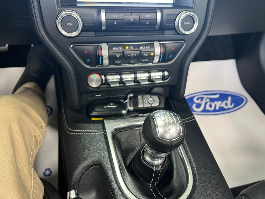 2019 Ford Mustang convertible Premium manuel in Boucherville, Quebec - 13 - w1024h768px
