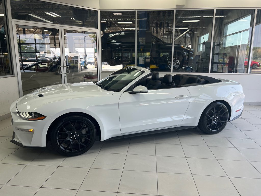 2019 Ford Mustang convertible Premium manuel in Boucherville, Quebec - 2 - w1024h768px